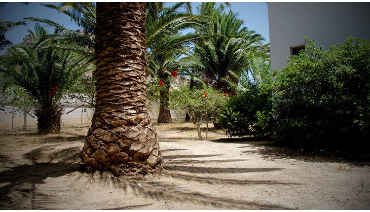 Avra Palm - NR, Крит